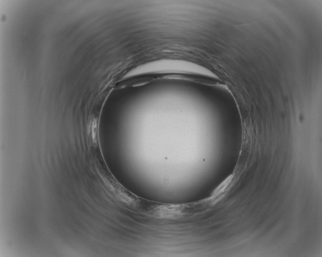 X0000087680094200705181740