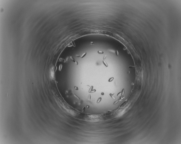 X0000087680095200705181740