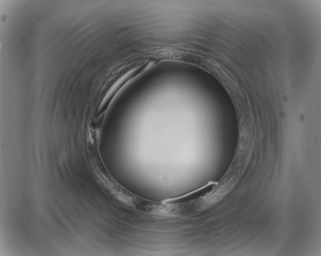 X0000087680096200705181740