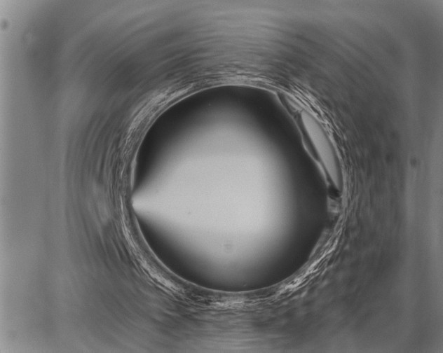 X0000087680097200705181740