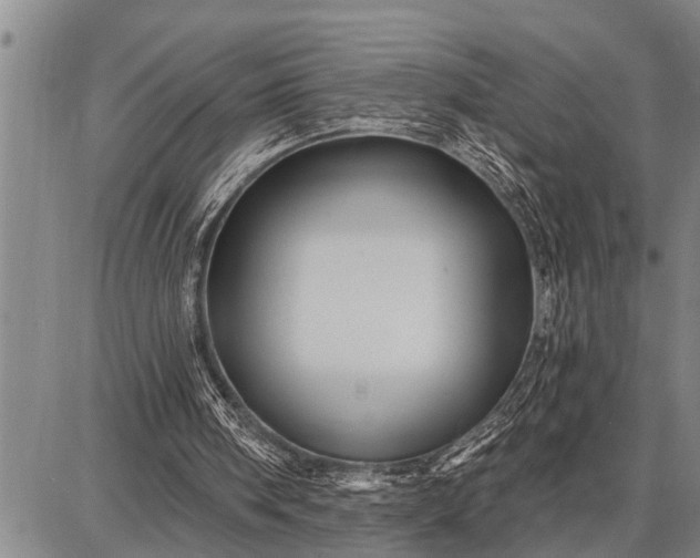 X0000087680098200705181740