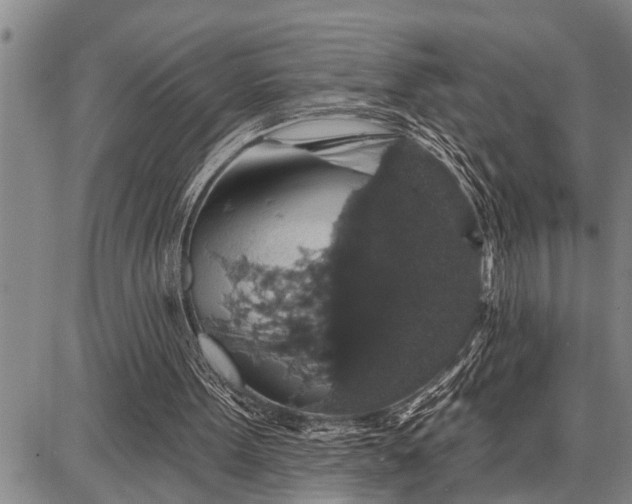 X0000087680099200705181740