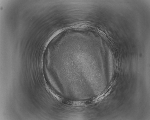 X0000087680100200705181740