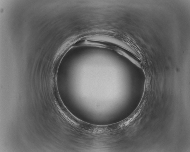 X0000087680101200705181740