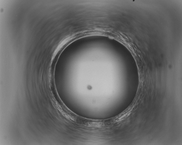 X0000087680102200705181739