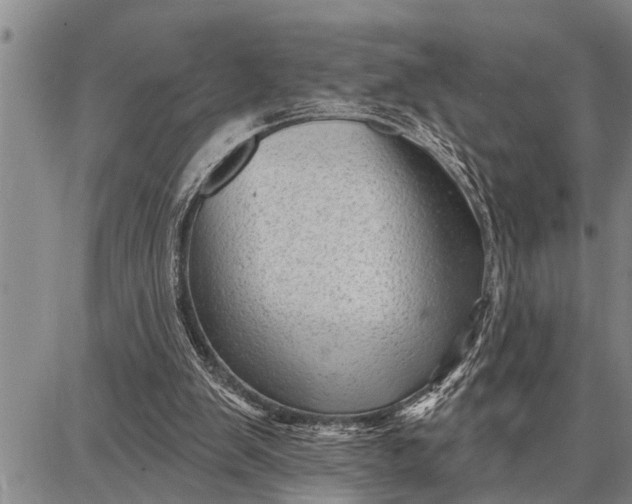 X0000087680103200705181739