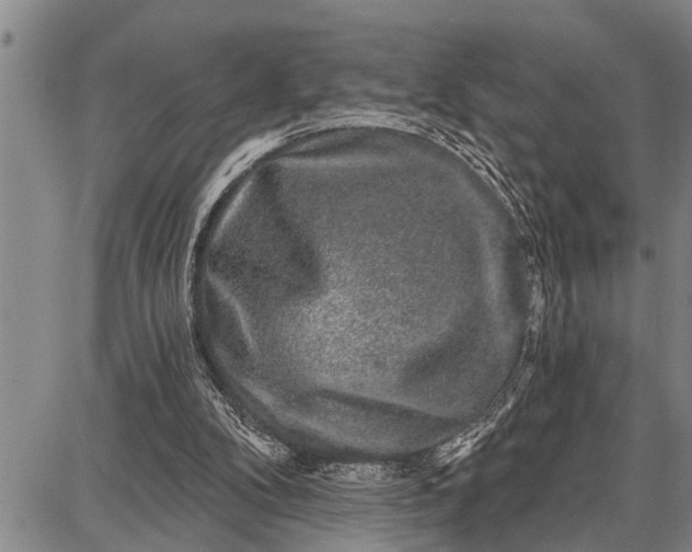 X0000087680104200705181739