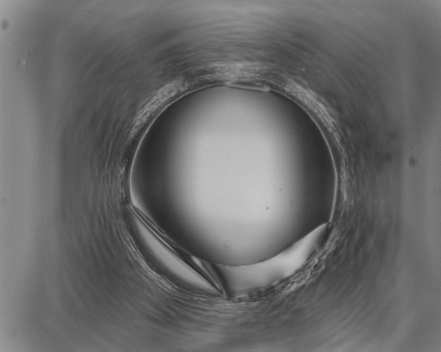 X0000087680105200705181739