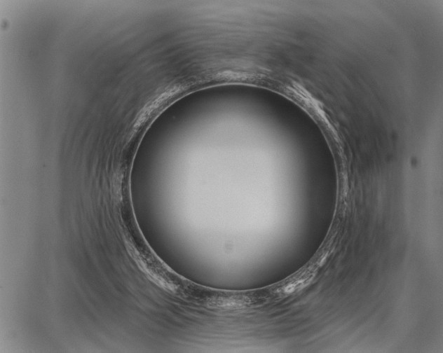 X0000087680106200705181739