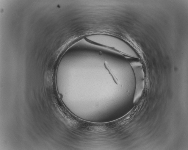 X0000087680107200705181739