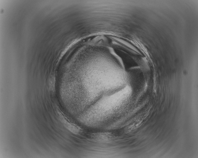 X0000087680108200705181739