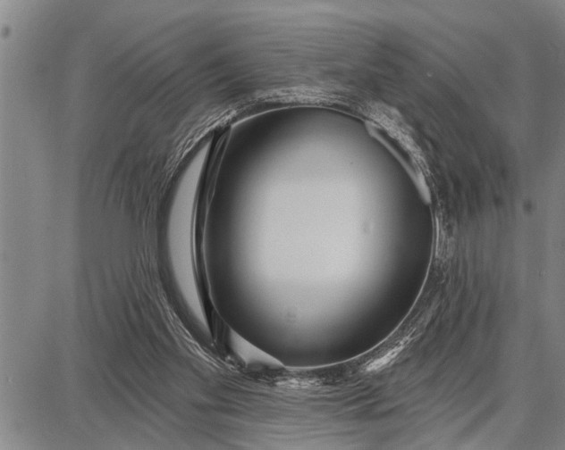 X0000087680109200705181739