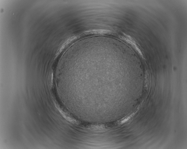 X0000087680110200705181739