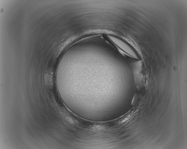 X0000087680111200705181739