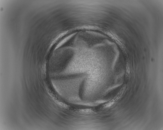 X0000087680112200705181739