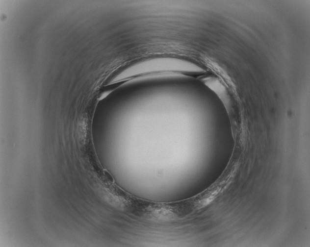 X0000087680113200705181739