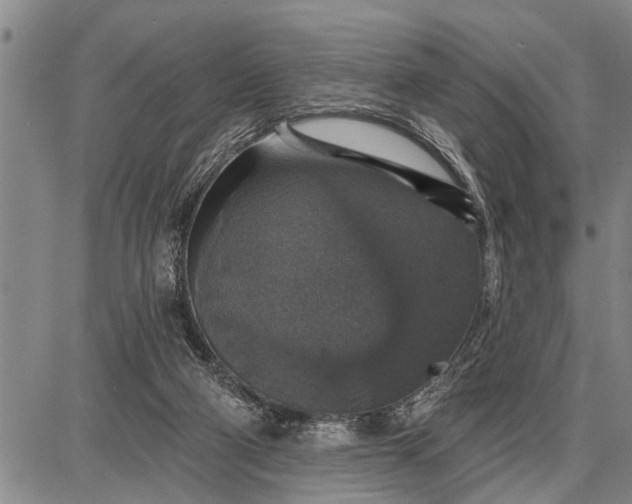 X0000087680114200705181739