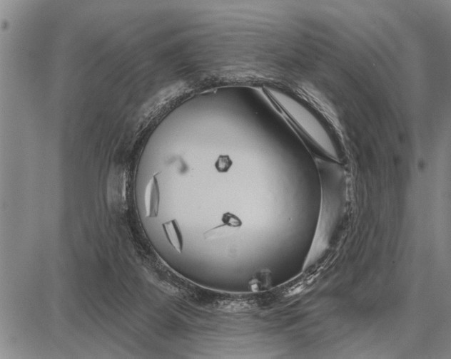 X0000087680115200705181739