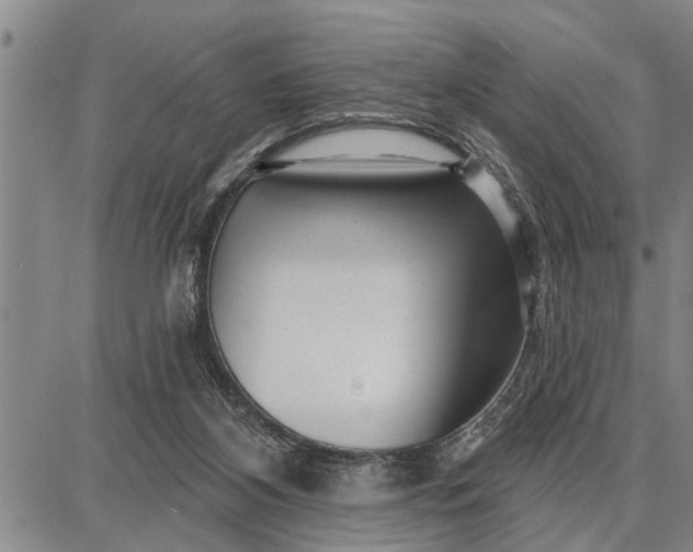 X0000087680116200705181739