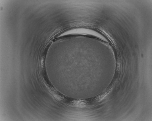 X0000087680117200705181739