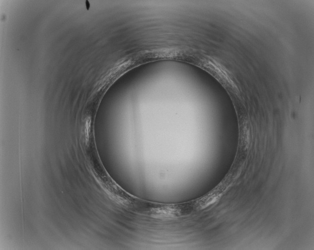 X0000087680118200705181739