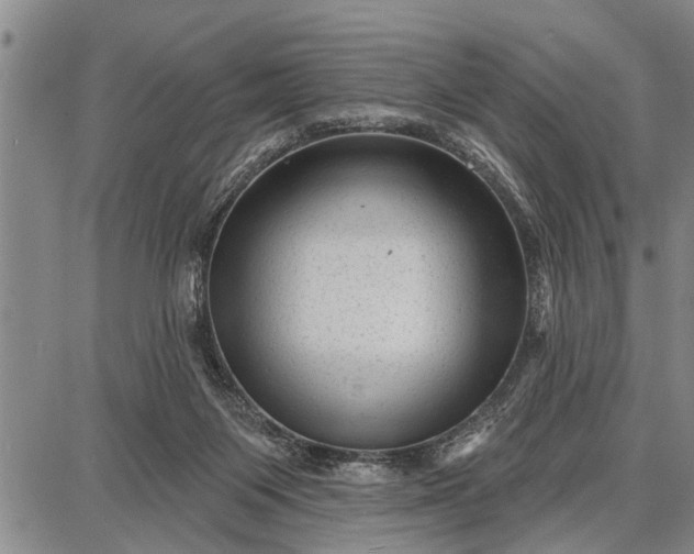 X0000087680119200705181739