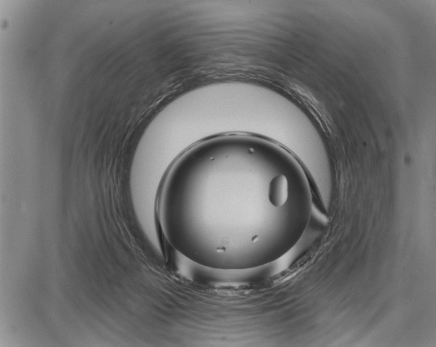 X0000087680121200705181739