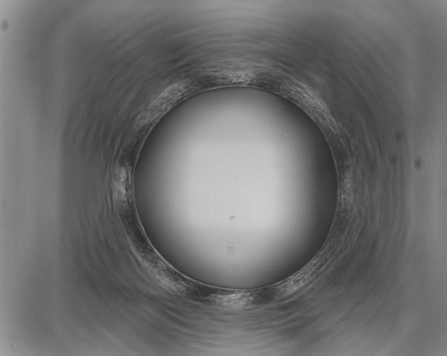 X0000087680122200705181739