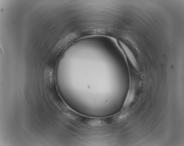 X0000087680123200705181739