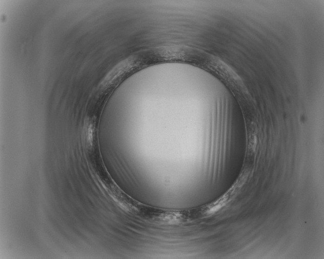 X0000087680124200705181739