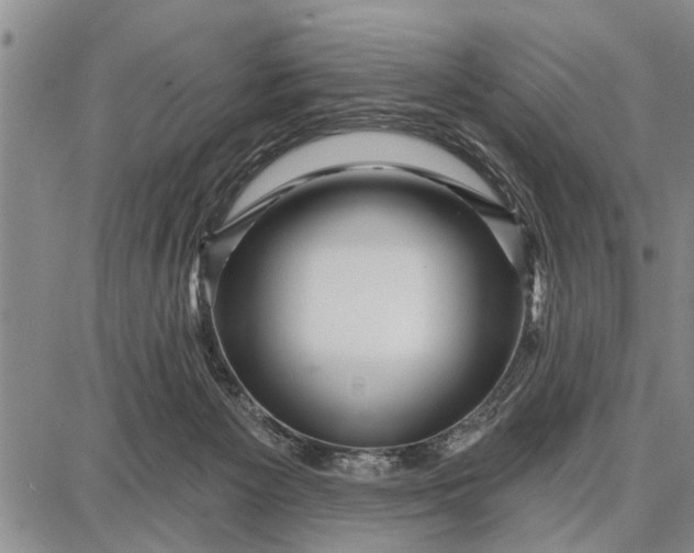 X0000087680125200705181739