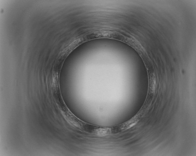 X0000087680126200705181739