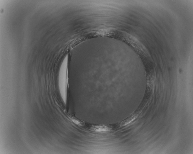 X0000087680127200705181739