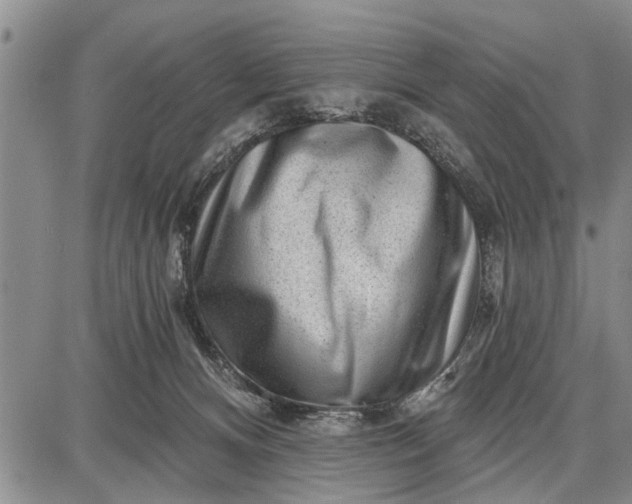 X0000087680128200705181739