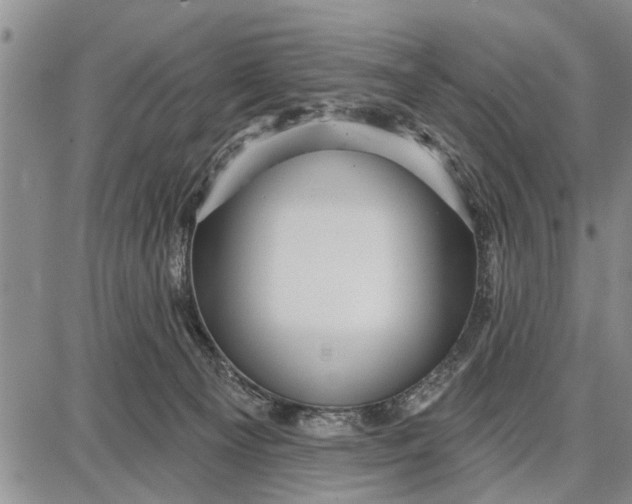 X0000087680129200705181739