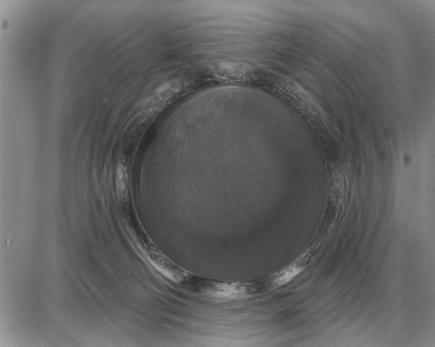 X0000087680130200705181739