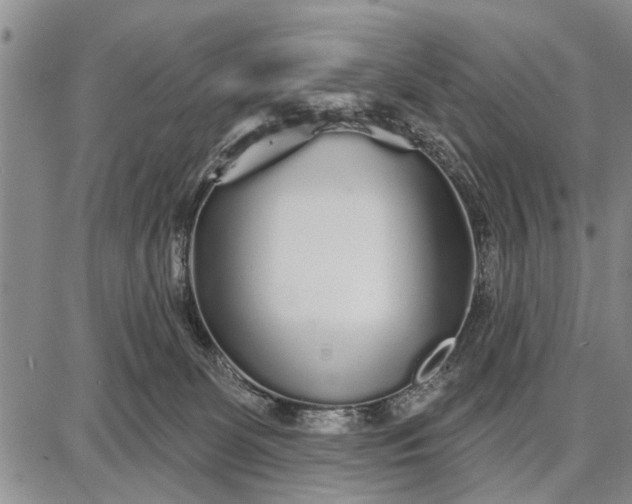 X0000087680131200705181739