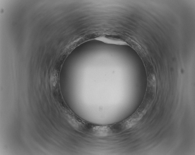 X0000087680133200705181739