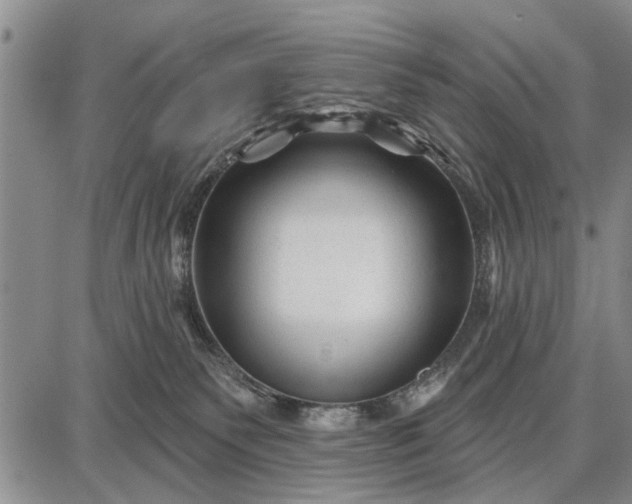 X0000087680135200705181739