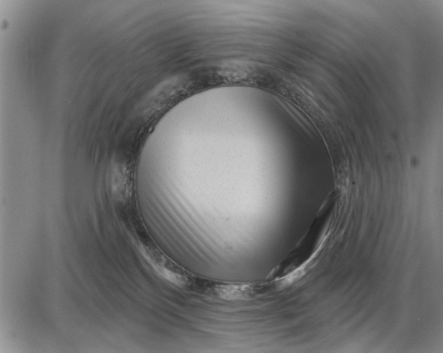 X0000087680136200705181739