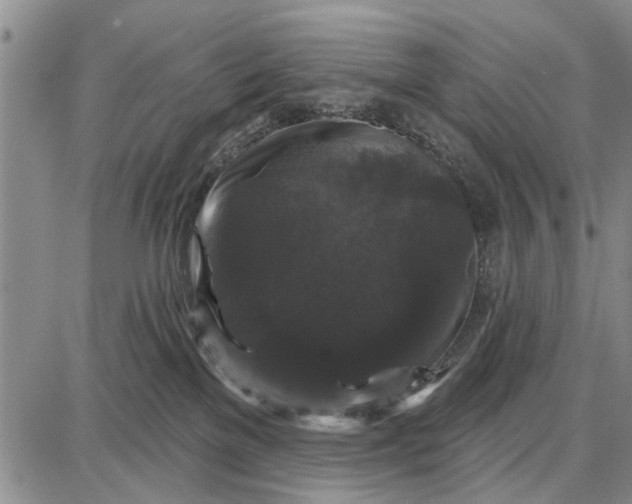 X0000087680137200705181739