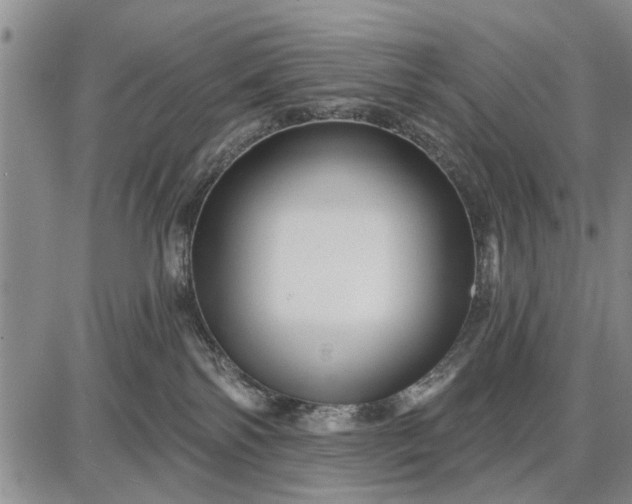 X0000087680138200705181739