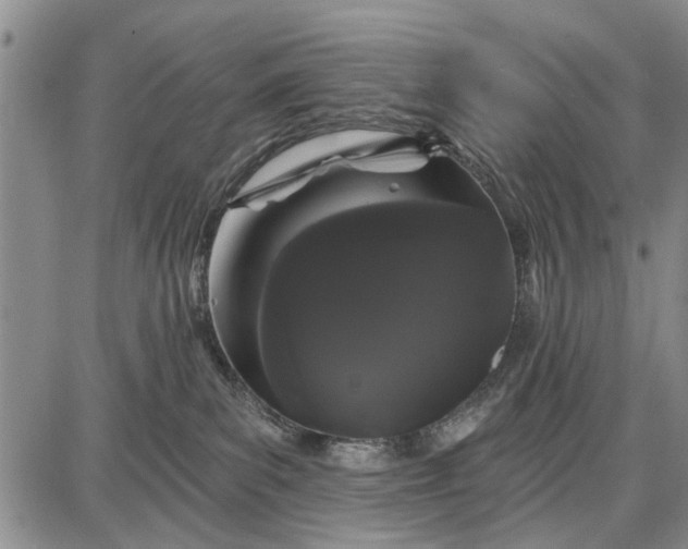 X0000087680139200705181739