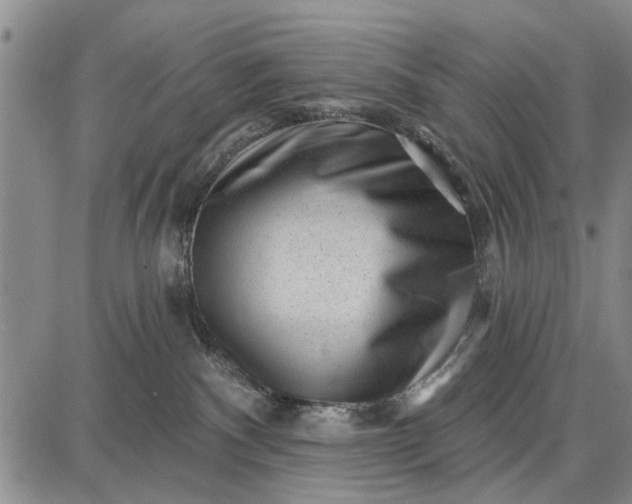 X0000087680140200705181739