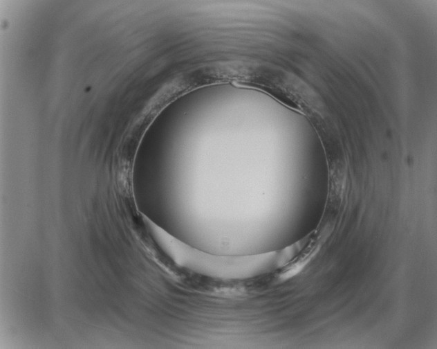 X0000087680141200705181739