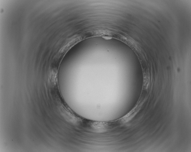 X0000087680142200705181739