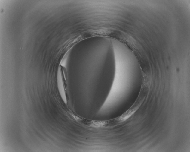 X0000087680143200705181739