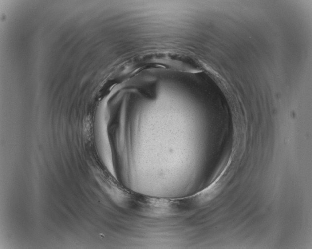 X0000087680144200705181739