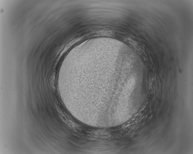 X0000087680146200705181738