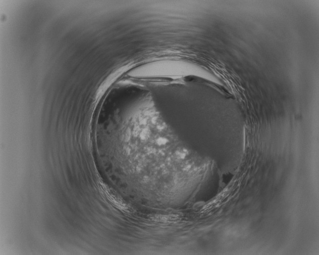 X0000087680147200705181738